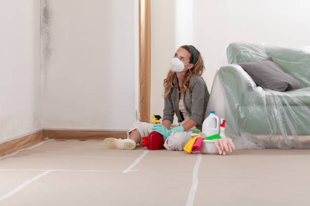 Reliable Mold Removal contractor in Port Townsend, WA by Mold Remediation HQ